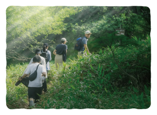 森を散策する様子