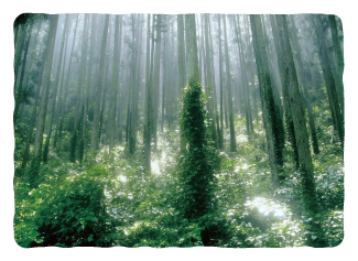 潮の引いた海岸で遊ぶ子供たち